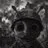 Ant profile picture